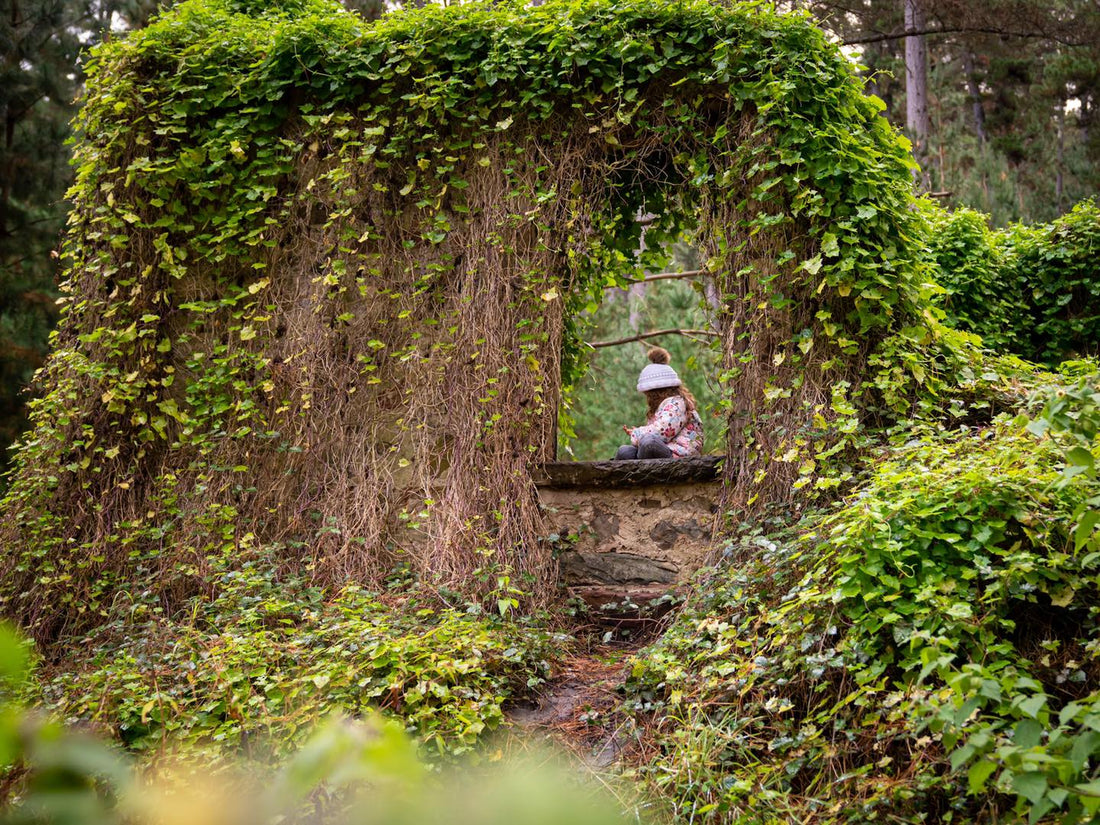 Barton’s Forest Ruins, Hay Flat Rd Torrens Vale